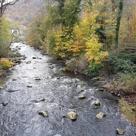Historic Haven In Appartement