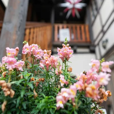 Appartamento Historic Haven In *