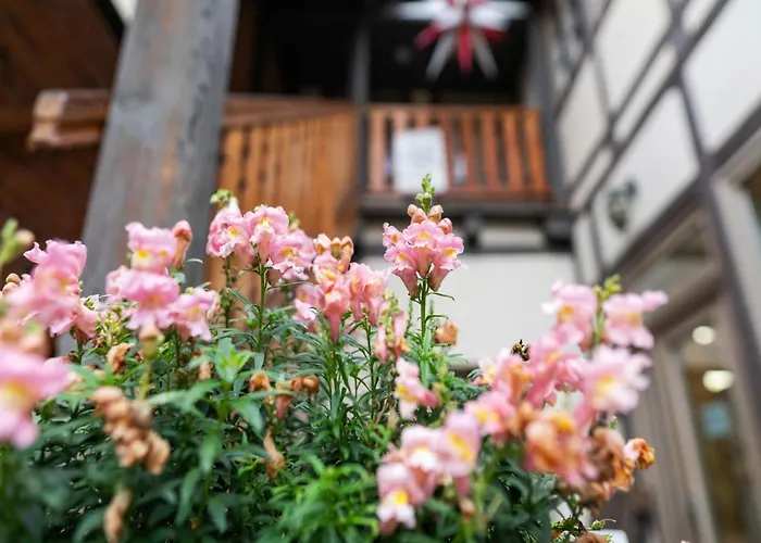 아파트 Historic Haven In *